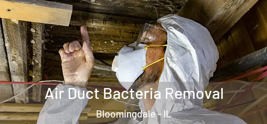  Air Duct Bacteria Removal Bloomingdale - IL