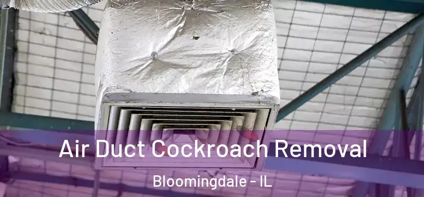  Air Duct Cockroach Removal Bloomingdale - IL