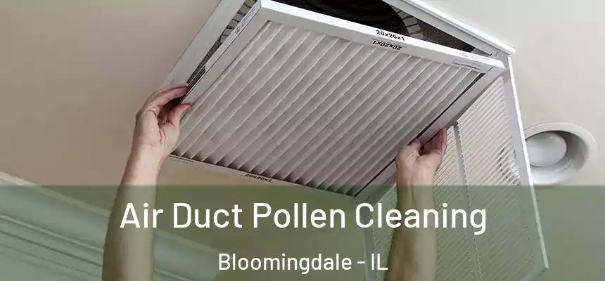  Air Duct Pollen Cleaning Bloomingdale - IL