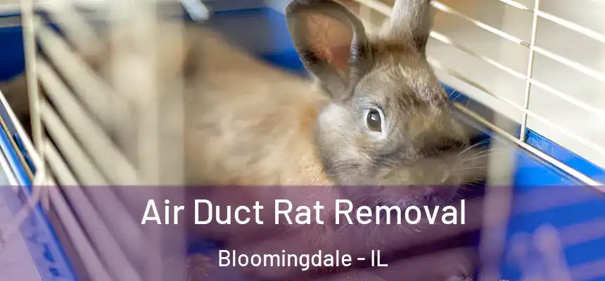  Air Duct Rat Removal Bloomingdale - IL