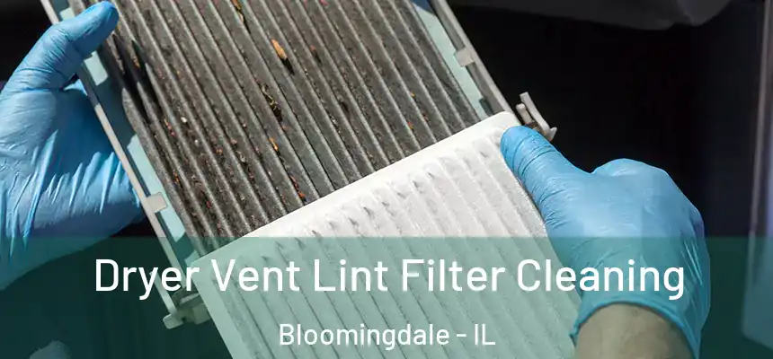  Dryer Vent Lint Filter Cleaning Bloomingdale - IL