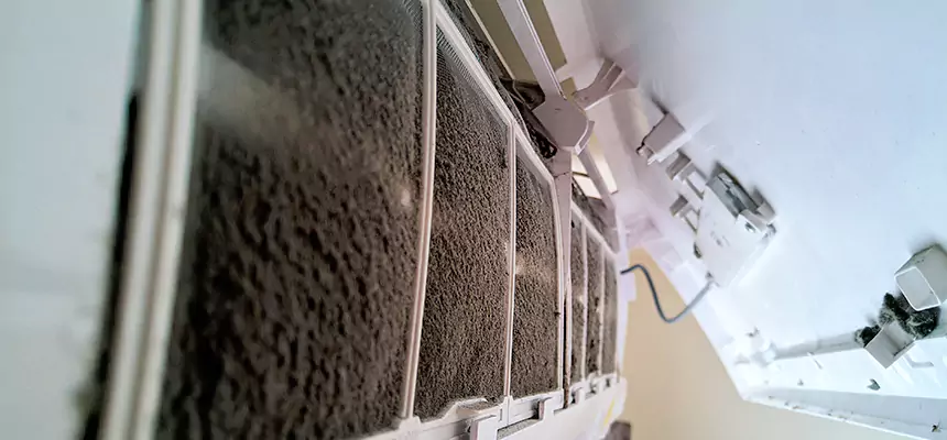 Preventive Air Duct Bacteria Removal in Bloomingdale