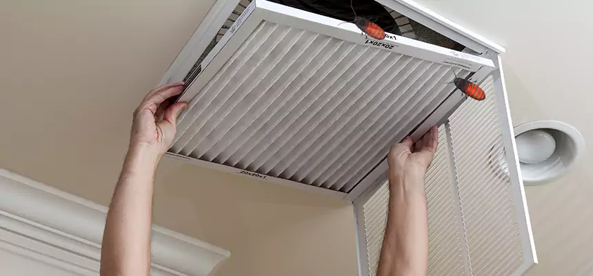 Preventive Cockroach-Proofing for Ducts in Bloomingdale