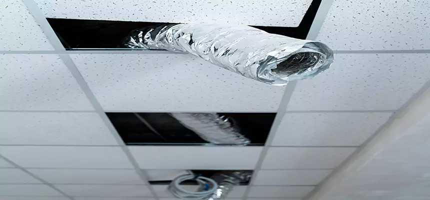 Affordable HVAC Sanitizing After Pest Removal in Bloomingdale