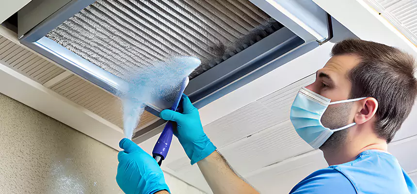 Proactive Dryer Vent & Auxiliary Duct Pollen Cleanup in Bloomingdale, IL