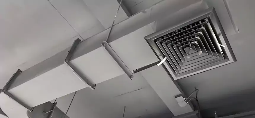 Restorative Allergy Relief Vent Cleaning – Coil, Blower & Housing Detail in Bloomingdale