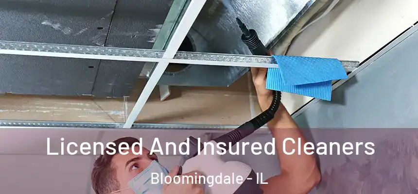  Licensed And Insured Cleaners Bloomingdale - IL