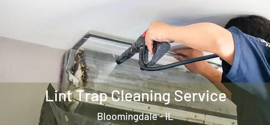 Lint Trap Cleaning Service Bloomingdale - IL