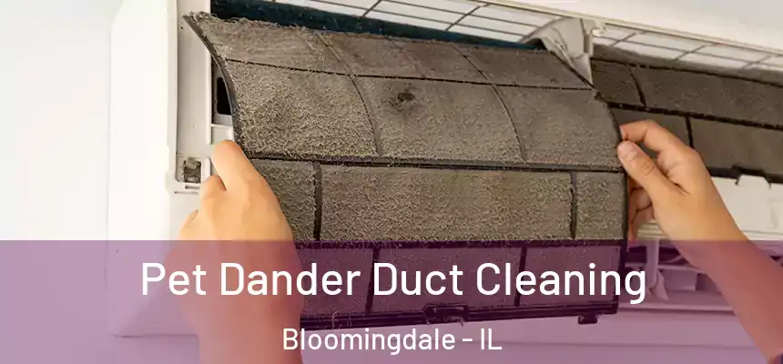 Pet Dander Duct Cleaning Bloomingdale - IL