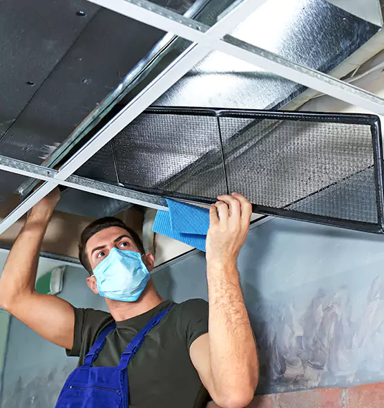 Professional Air Duct Pollen Cleaning in Bloomingdale, IL