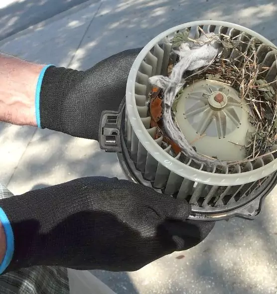 About Air Duct Rat Removal in Bloomingdale, IL