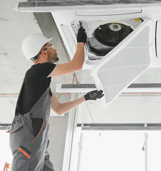 About Air Duct Rodent Removal in Bloomingdale, IL