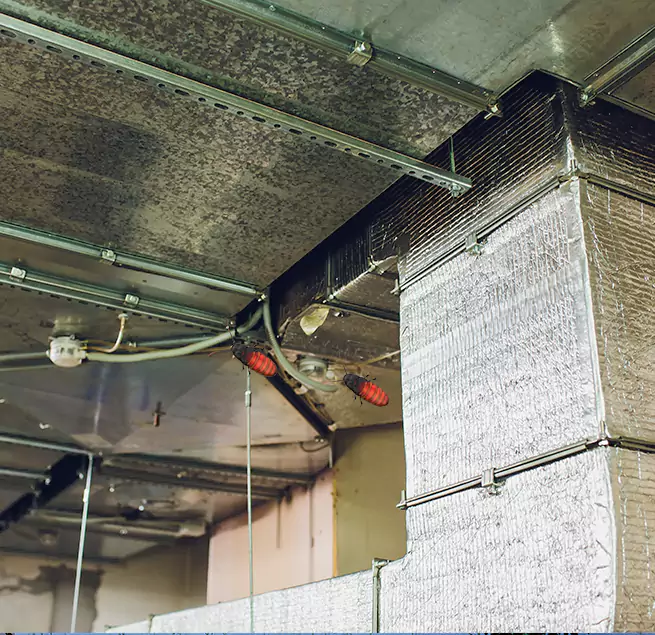 Why Homeowners & Businesses Trust Us Bloomingdale, IL?