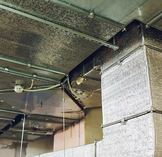 Why Homeowners & Businesses Trust Us in Bloomingdale, IL?